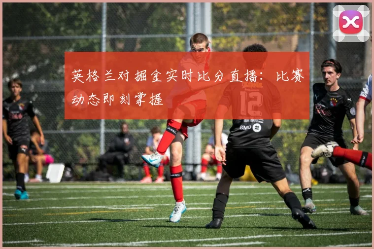 英格兰对掘金实时比分直播：比赛动态即刻掌握